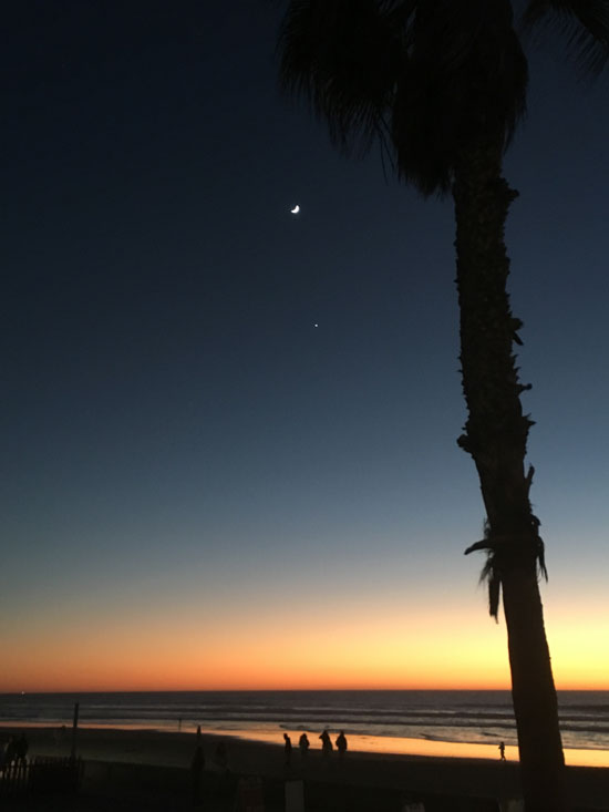 palm-moon-sunset